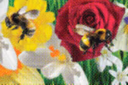 Flower Banners #110