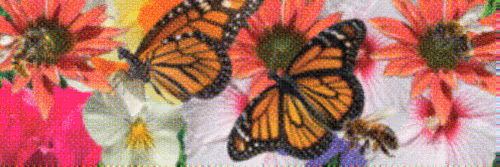 Flower Banners