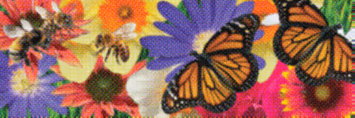 Flower Banners