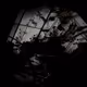 apertures align rhythmically
