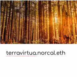 terravirtua.norcal.eth