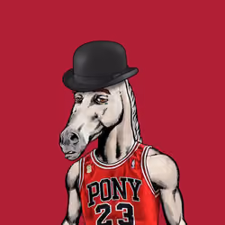 Alpha Pony #162