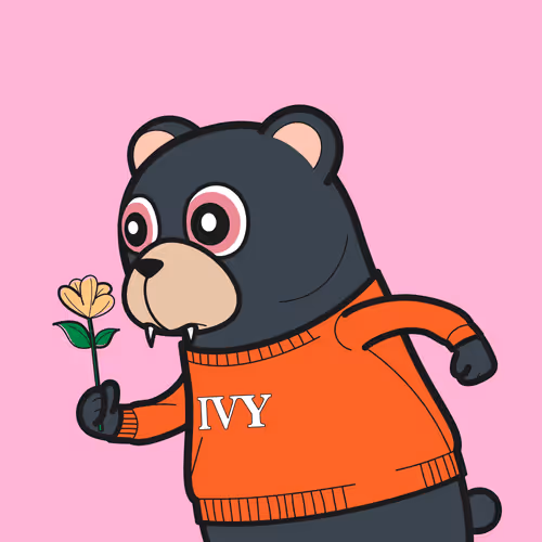 Bbrc Ivy Bear