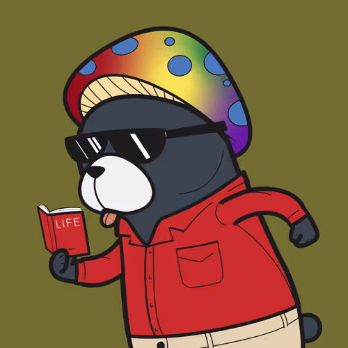IVY BEAR #1658