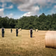 Into The Field