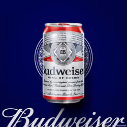 Budverse Heritage Can #157