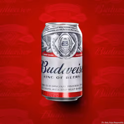 Budverse Heritage Can #489