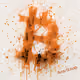 Bitcoin 2100 - 303/2100