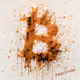 Bitcoin 2100 - 335/2100