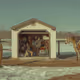 100019