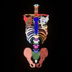 Party Structure #84 (Main Body)