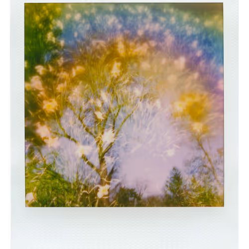 Manifestation