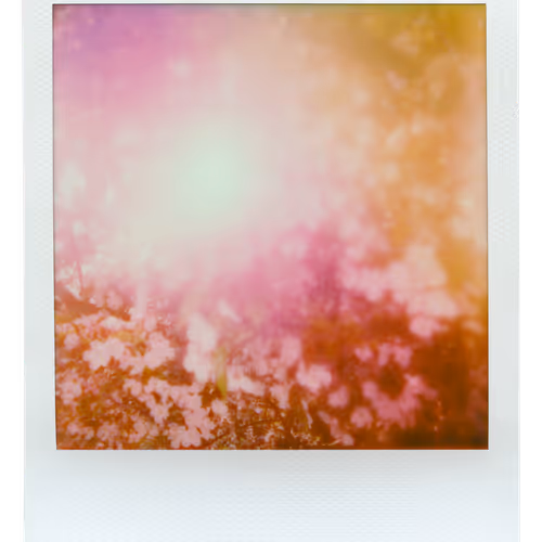 Manifestation V3
