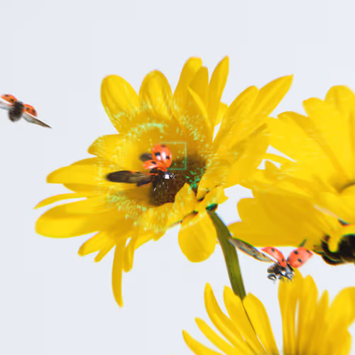 Interactions in Bloom