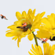 Interactions in Bloom