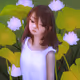 Lotus flower 001