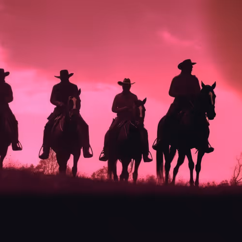 Not So Wild West
