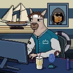 798