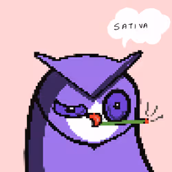 371