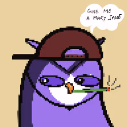 221