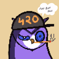 223