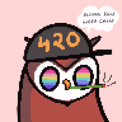 258