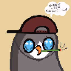 High Birdies #50