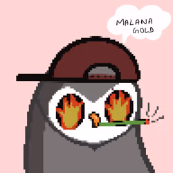 High Birdies #53