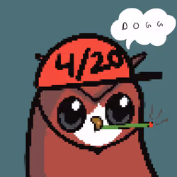 High Birdies #148