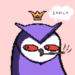 High Birdies #12