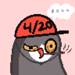 High Birdies #107