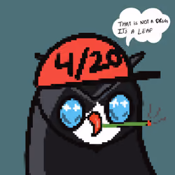 High Birdies #10