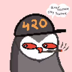 259