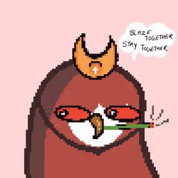 262