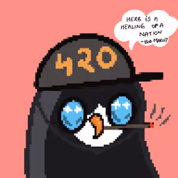 High Birdies #79