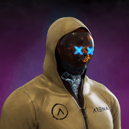 Arena Hackers