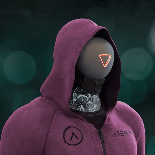 Arena Hackers