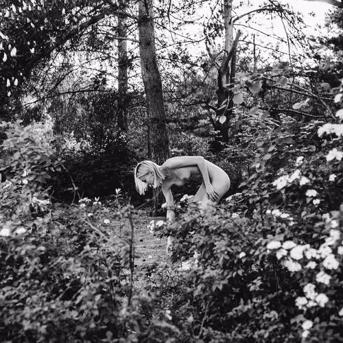 Alone with Nature V2