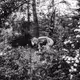 Alone with Nature V2