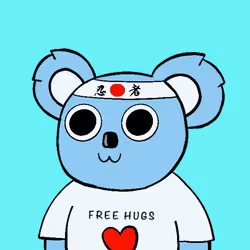 Koala #40