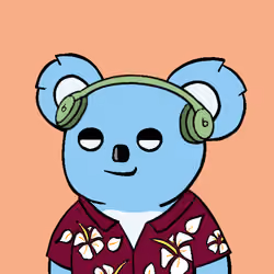 Koala #18