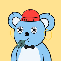 Koala #6
