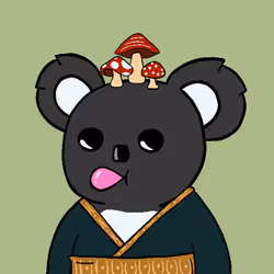 Koala #4