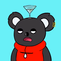 Koala #39