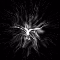 DEAFBEEF Series 5: Advection - Token 222