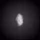 97