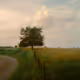 childhood - OERmfKg1u7