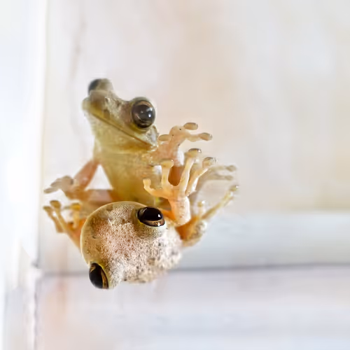 Max Osiris Photography