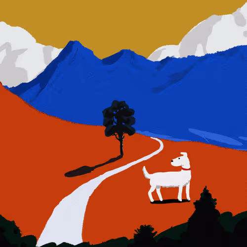 Sky Cloud Mountain Bird #16