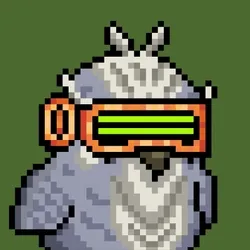 BIRDYBITE #773